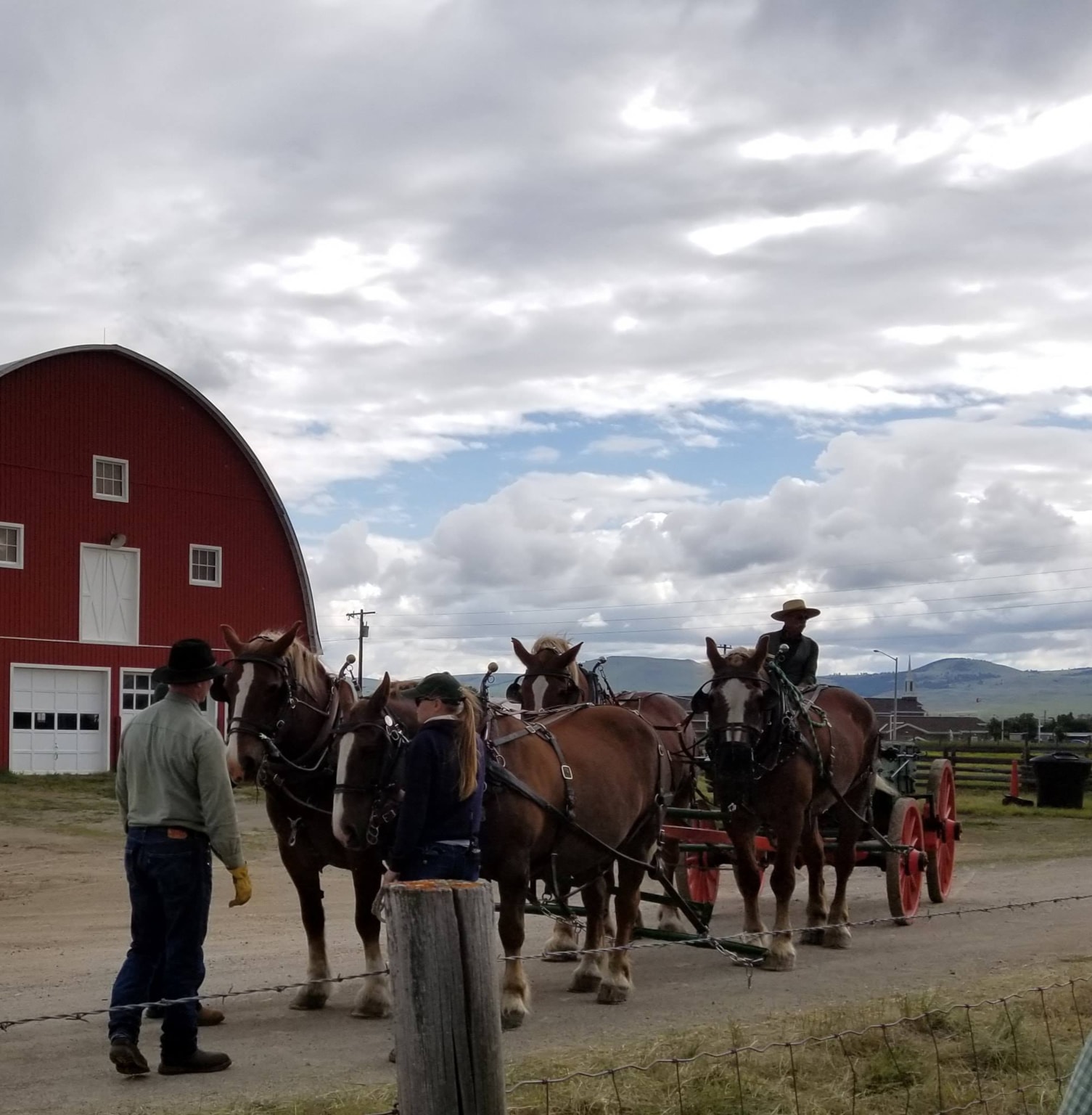Big Sky Draft Horse Expo